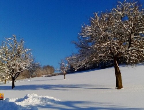 Traum Wetter – tolle Skigebiete
