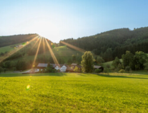 Sommerferien 2023