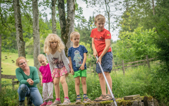 Fische beobachten im Teich