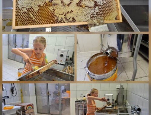Momente des Sommers 2025